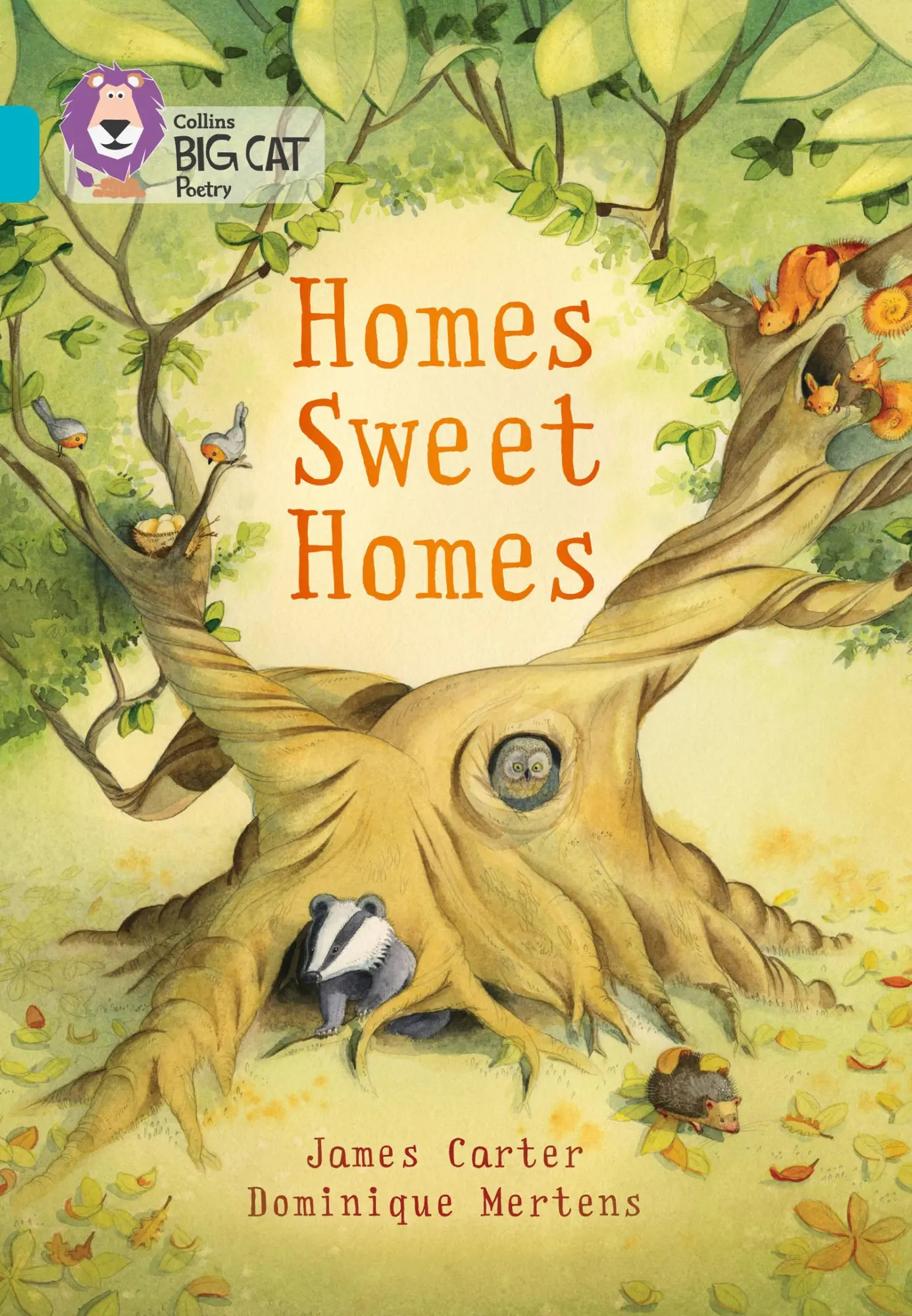 Cover: 9780007591107 | Homes Sweet Homes | Band 07/Turquoise | James Carter | Taschenbuch