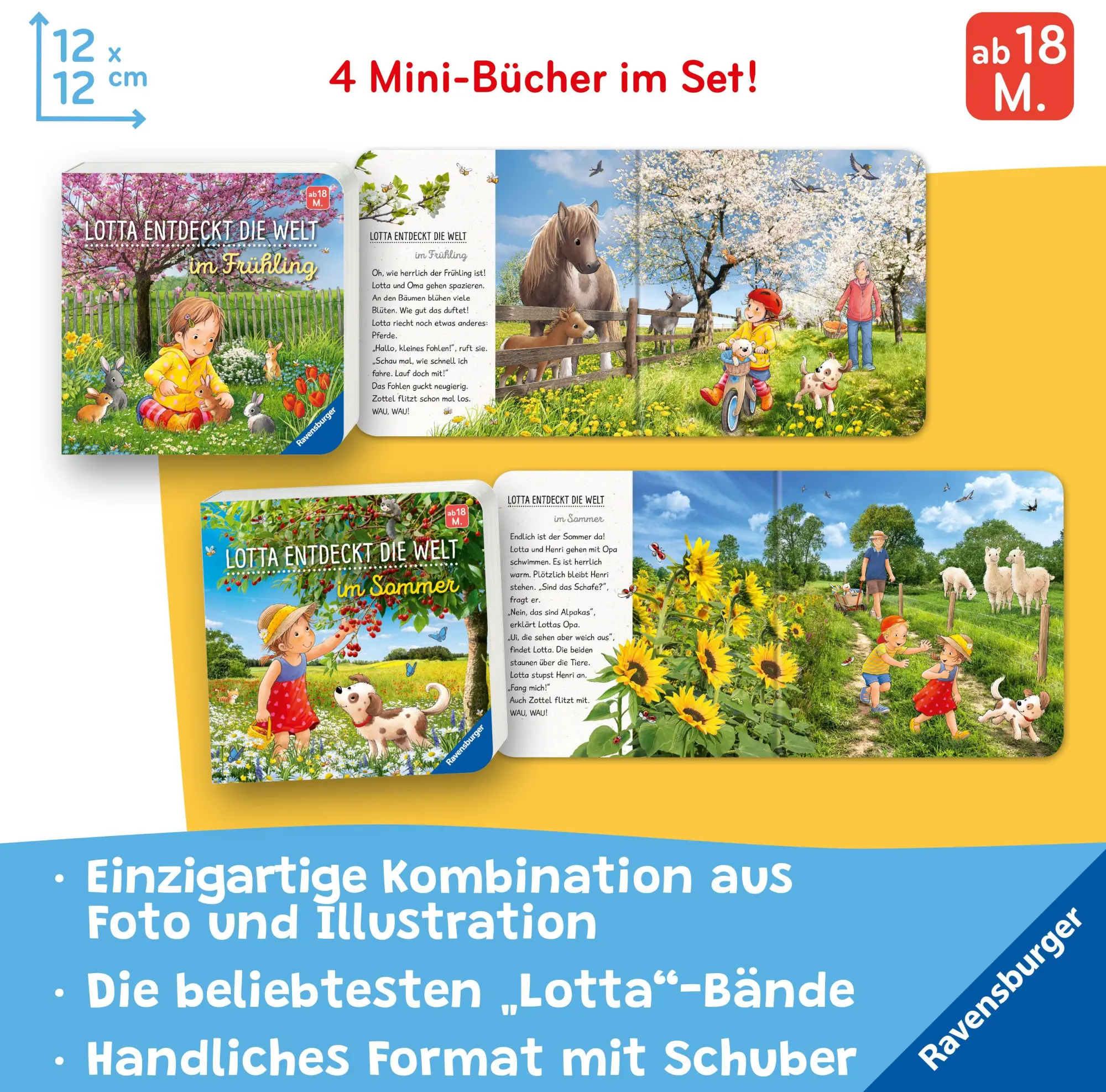 Bild: 9783473421107 | Lotta entdeckt die Jahreszeiten | Sandra Grimm | Taschenbuch | 16 S.