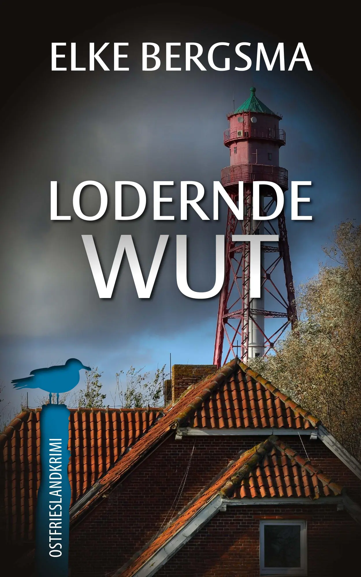 Cover: 9783963571107 | Lodernde Wut | Elke Bergsma | Taschenbuch | 280 S. | Deutsch | 2018