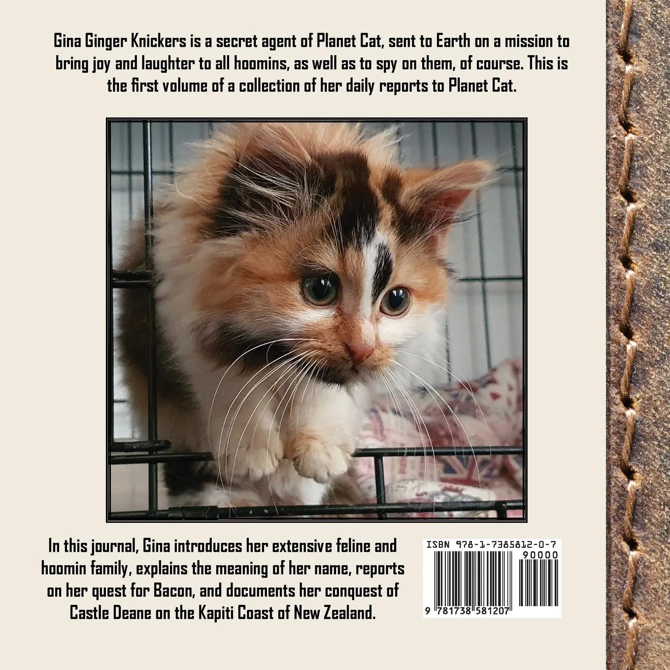 Rückseite: 9781738581207 | The Journal of Agent Gina Ginger Knickers, Phase One | Linda Deane