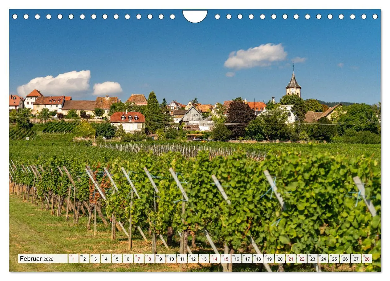 Bild: 9783457361207 | Die Elsässer Weinstraße (Wandkalender 2026 DIN A4 quer), CALVENDO...