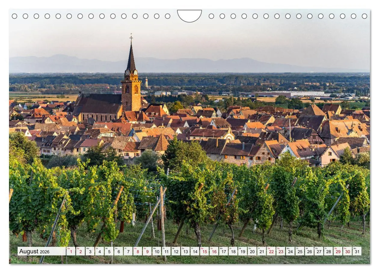 Bild: 9783457361207 | Die Elsässer Weinstraße (Wandkalender 2026 DIN A4 quer), CALVENDO...