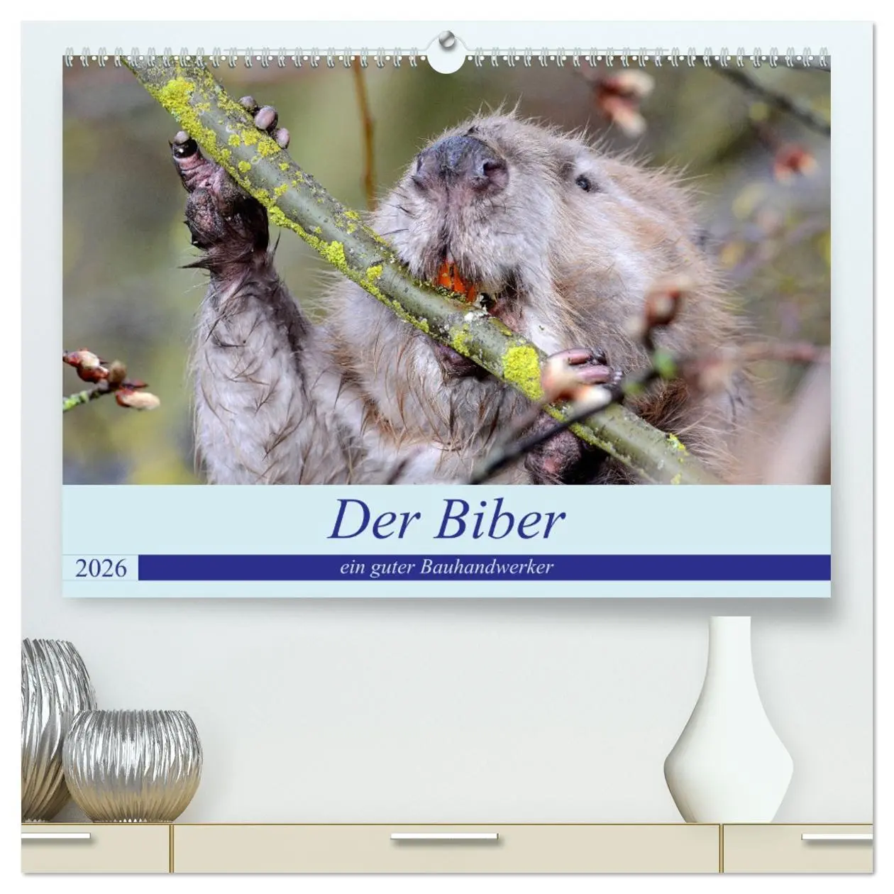 Cover: 9783457671207 | Der Biber, ein guter Bauhandwerker (hochwertiger Premium...