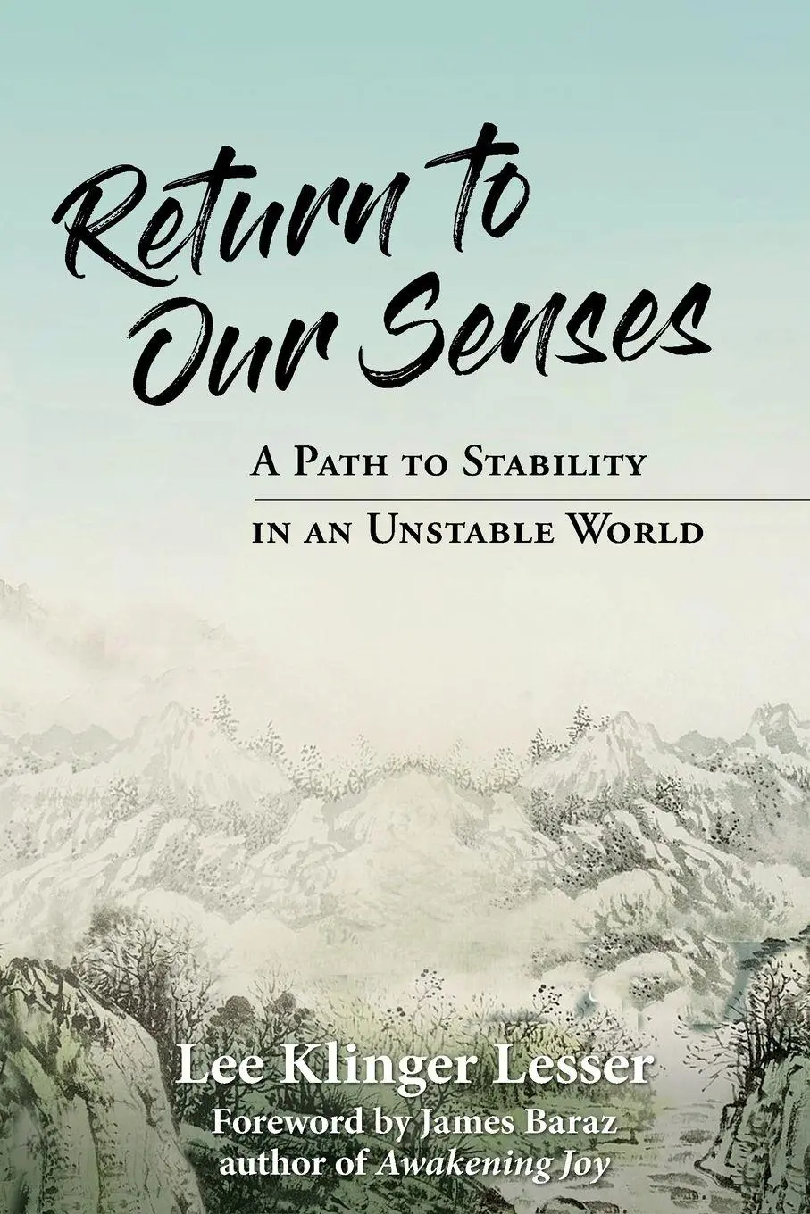 Cover: 9798994291207 | Return to Our Senses | A Path to Stability in an Unstable World | Buch