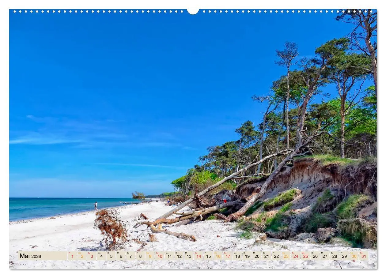 Bild: 9783457731307 | Deutschland - Nationalparks (hochwertiger Premium Wandkalender 2026...