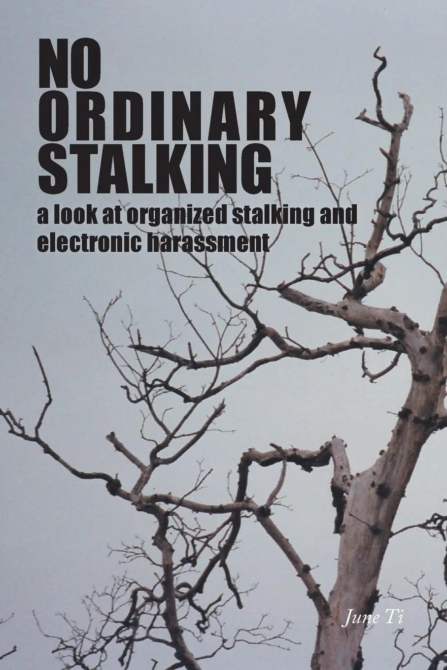 Cover: 9781460271407 | No Ordinary Stalking | June Ti | Taschenbuch | Kartoniert / Broschiert