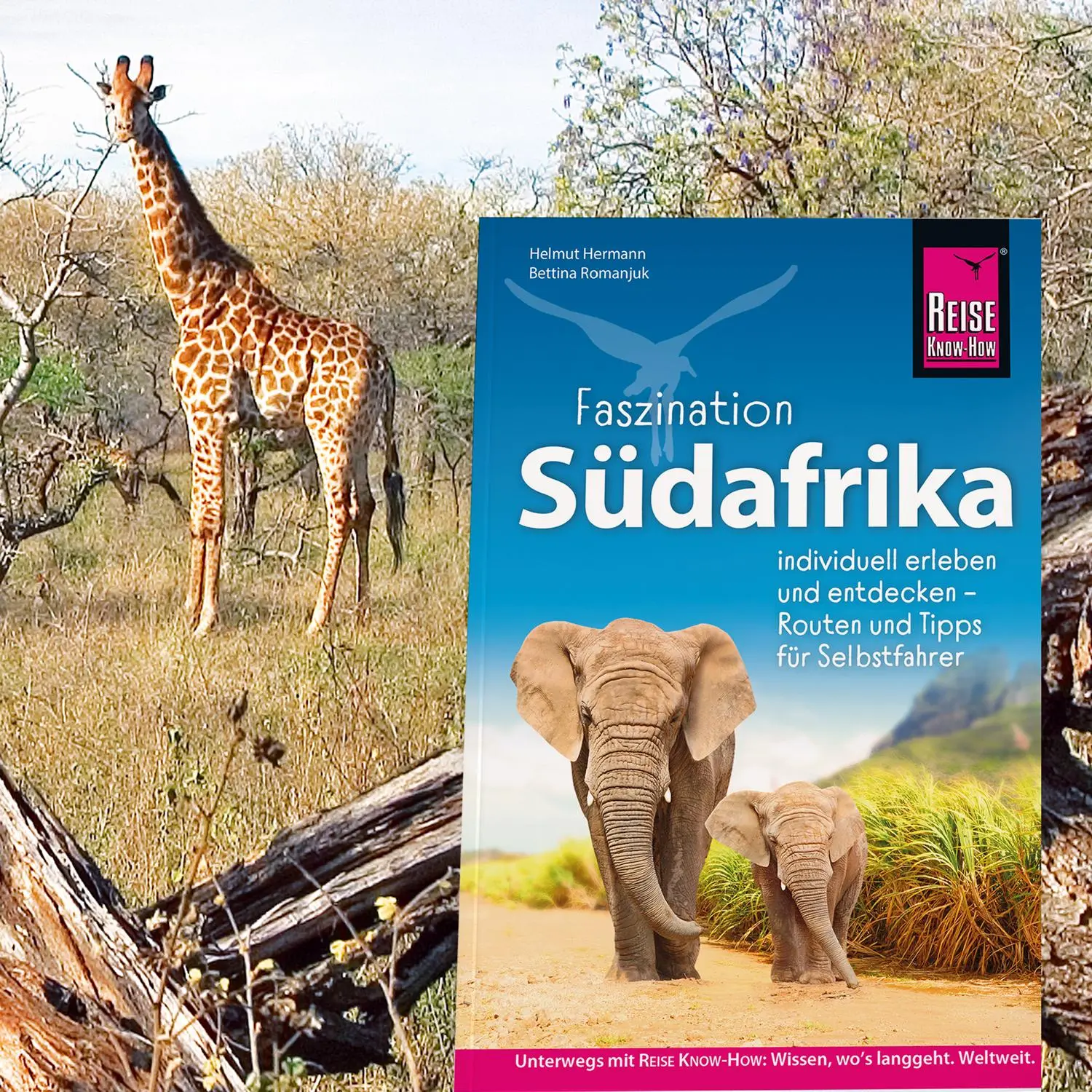 Bild: 9783689861407 | Reise Know-How Reiseführer Südafrika | Helmut Hermann (u. a.) | Buch