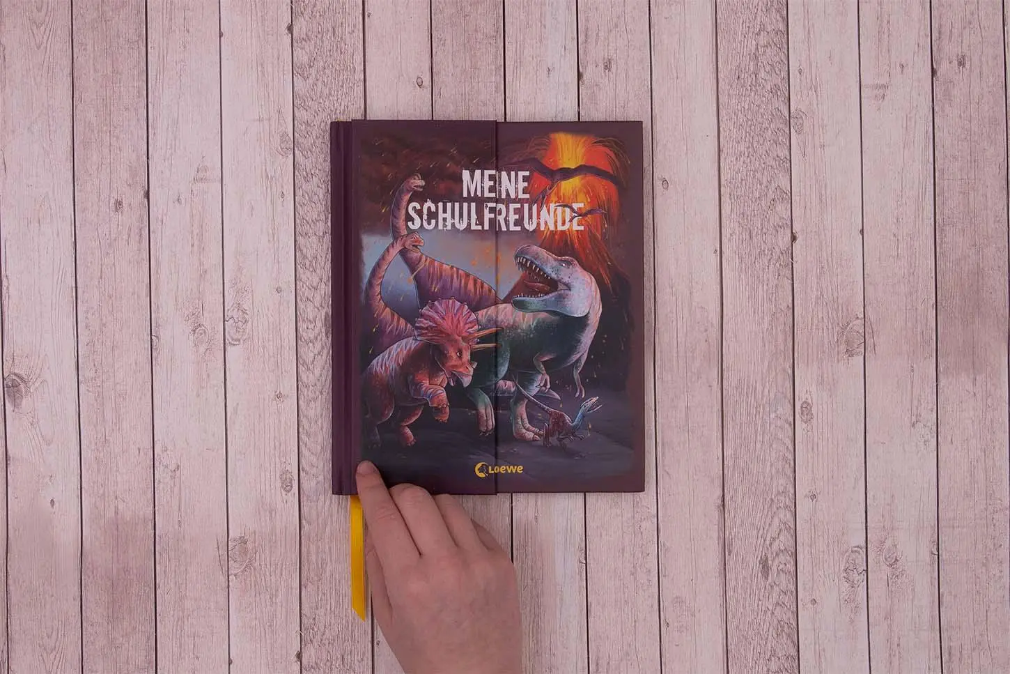 Bild: 9783743211407 | Meine Schulfreunde (Dinosaurier) | Sanna Wandtke | Buch | 80 S. | 2022