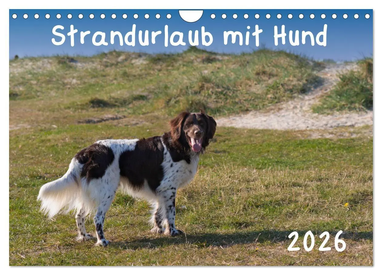 Cover: 9783457641507 | Strandurlaub mit Hund (Wandkalender 2026 DIN A4 quer), CALVENDO...