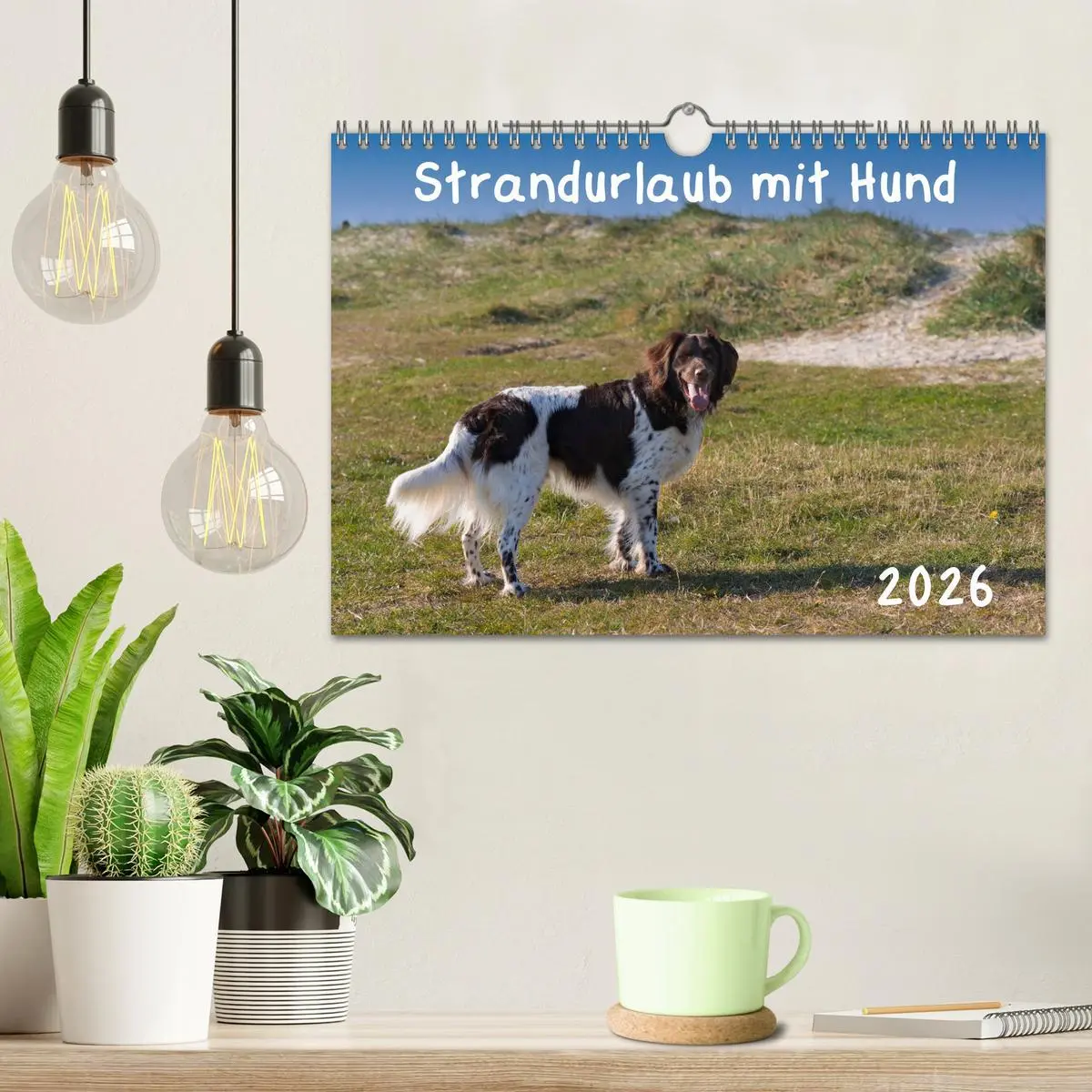 Bild: 9783457641507 | Strandurlaub mit Hund (Wandkalender 2026 DIN A4 quer), CALVENDO...