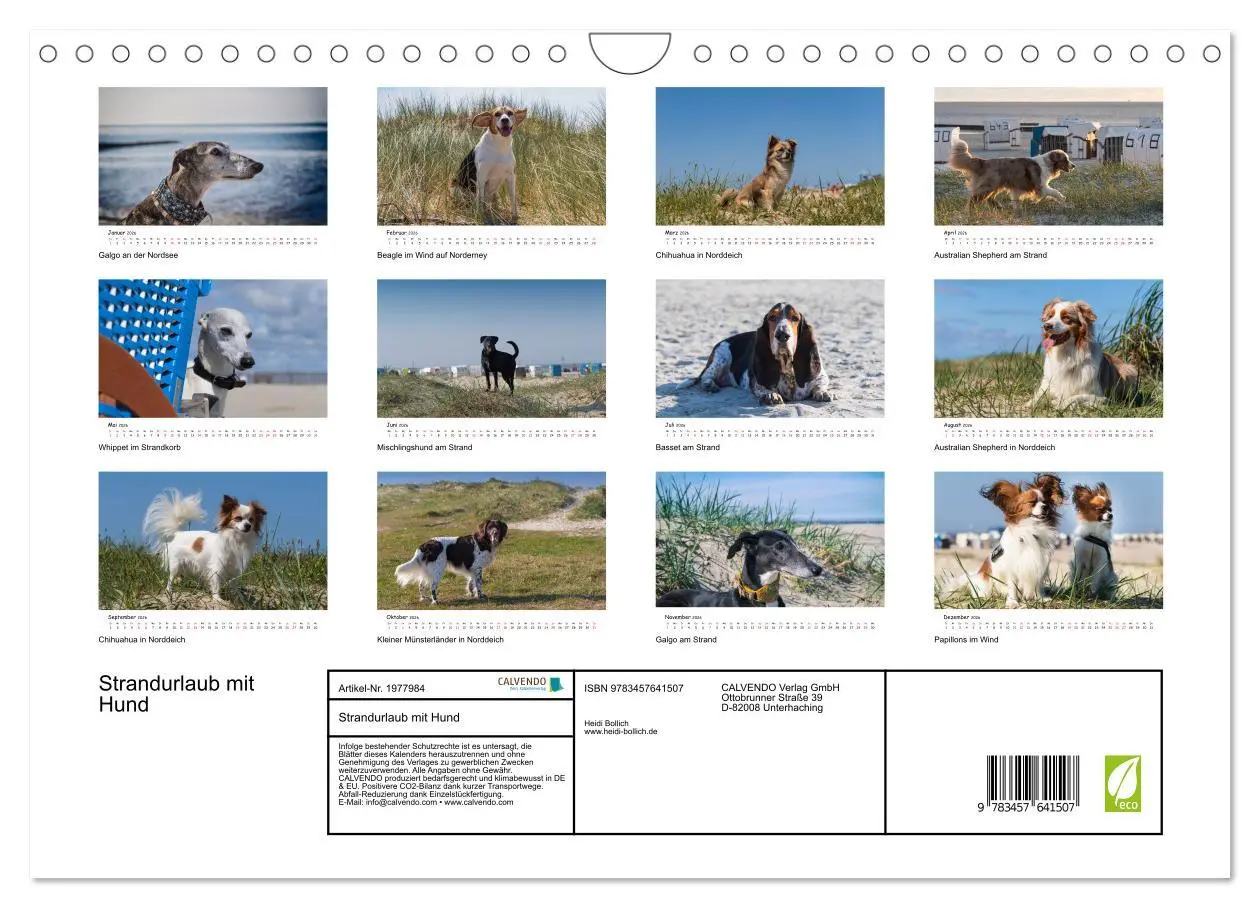 Bild: 9783457641507 | Strandurlaub mit Hund (Wandkalender 2026 DIN A4 quer), CALVENDO...