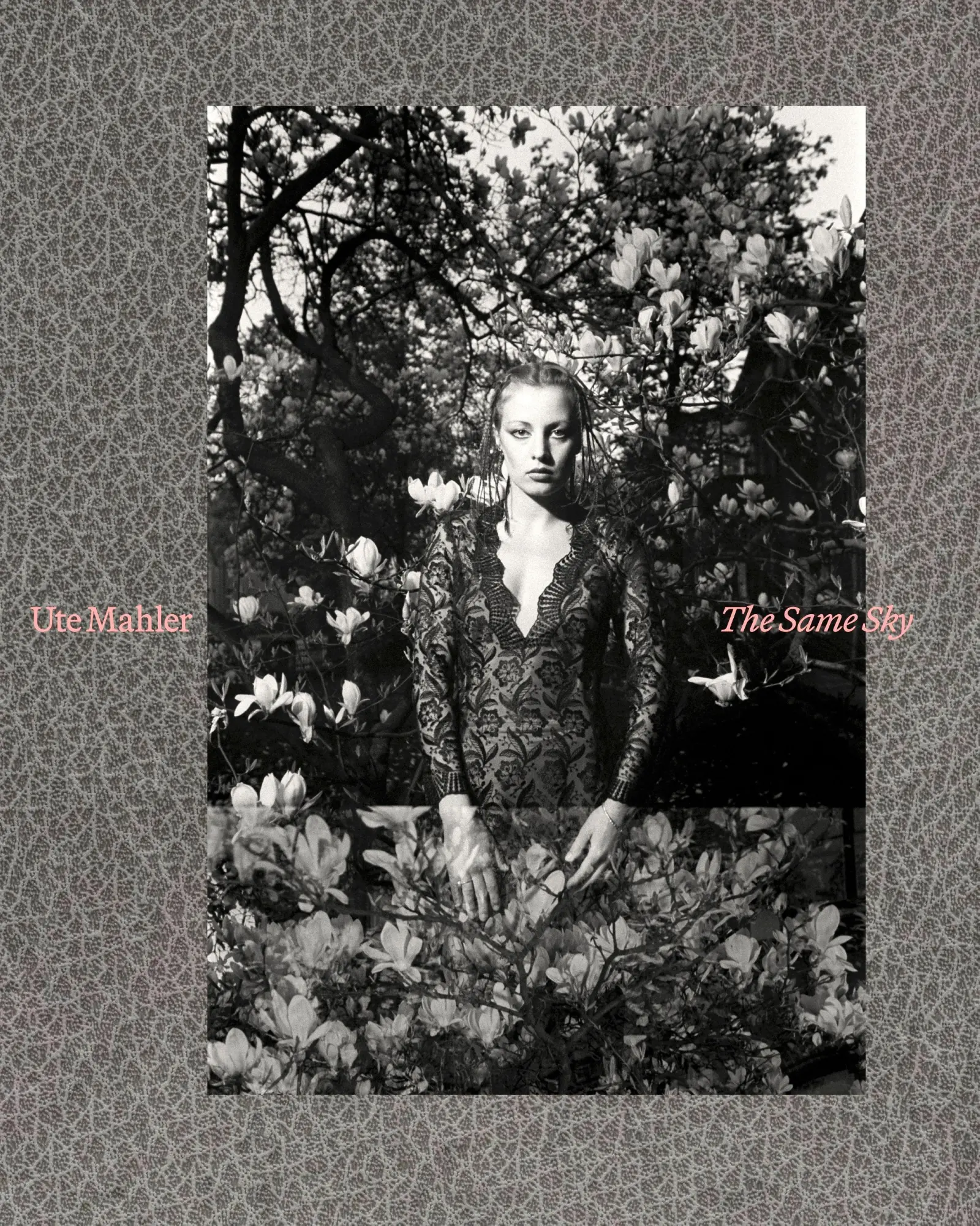 Cover: 9783960701507 | Ute Mahler The Same Sky | Annett Gröschner (u. a.) | Buch | 292 S.