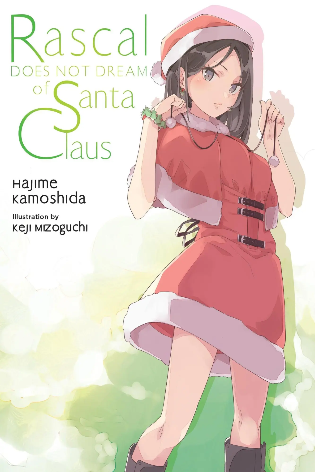 Cover: 9781975391607 | Rascal Does Not Dream of Santa Claus (Light Novel) | Hajime Kamoshida
