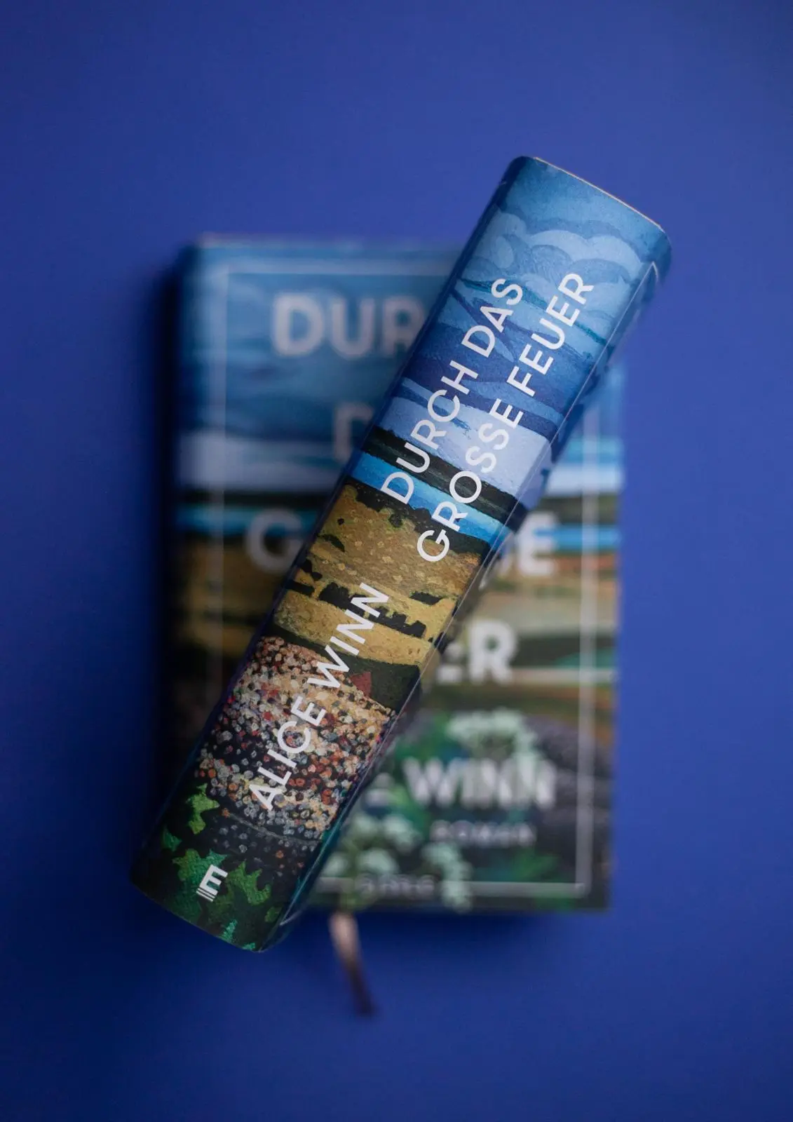 Bild: 9783961611607 | Durch das große Feuer | Alice Winn | Buch | 496 S. | Deutsch | 2023