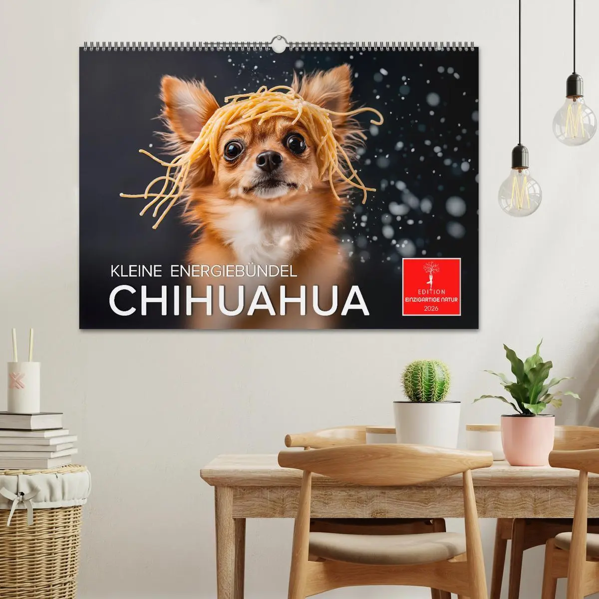 Bild: 9783457311707 | Chihuahua - kleine Energiebündel (Wandkalender 2026 DIN A2 quer),...