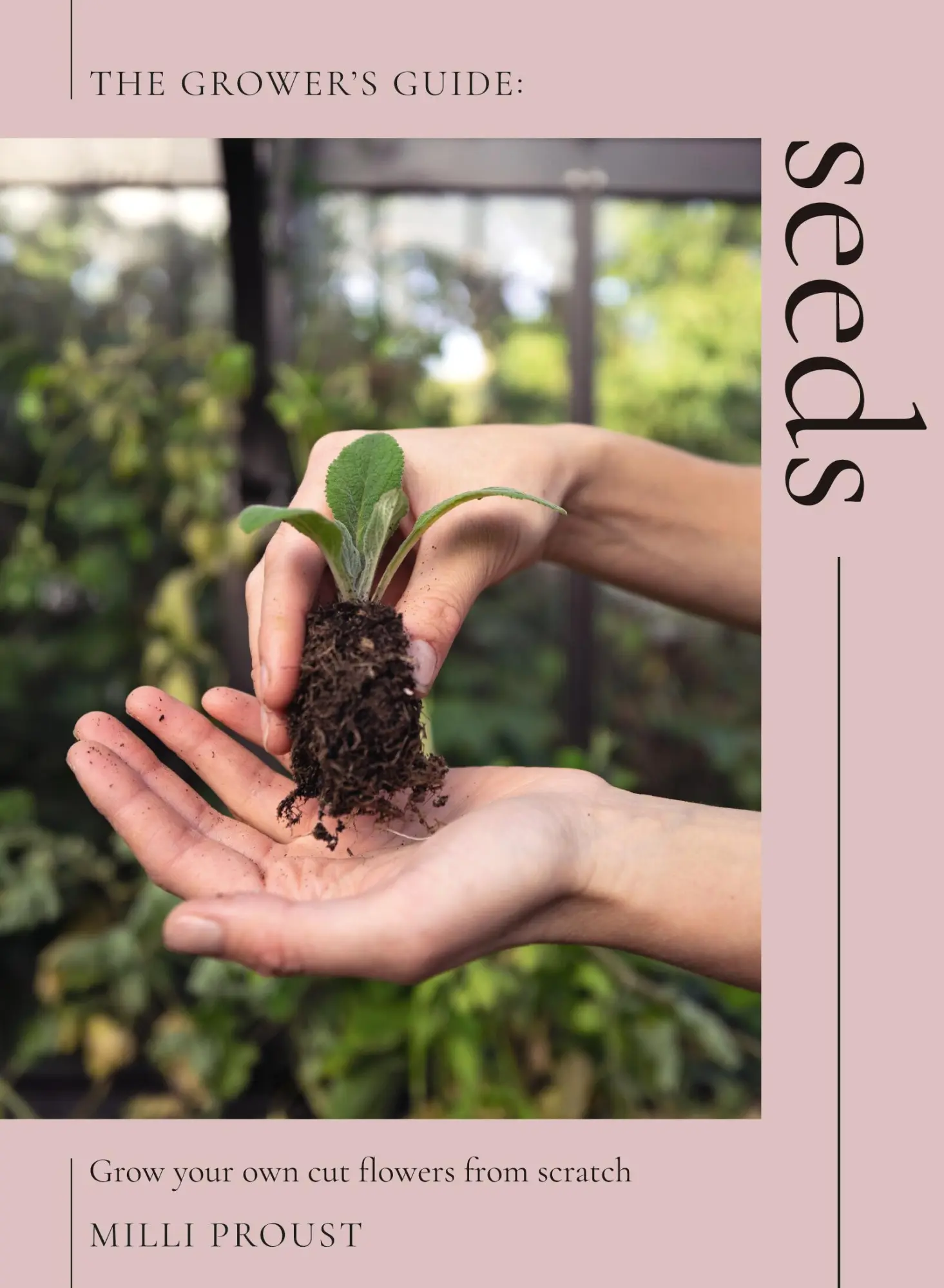 Cover: 9781837831807 | Seeds | Grow Your Own Cut Flowers from Scratch | Milli Proust | Buch