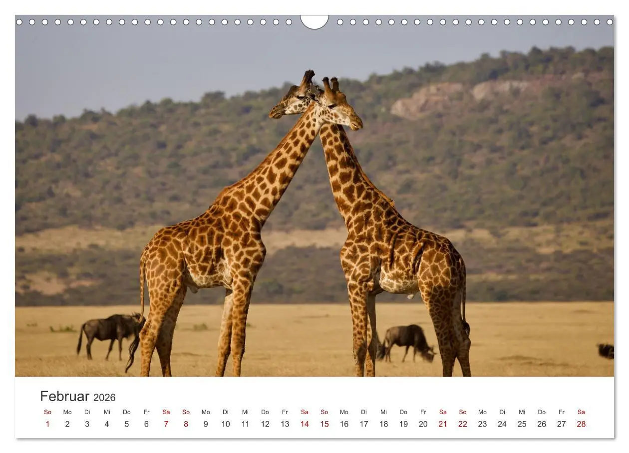 Bild: 9783457611807 | Tansania - Am Fuße des Kilimandscharo. (Wandkalender 2026 DIN A3...