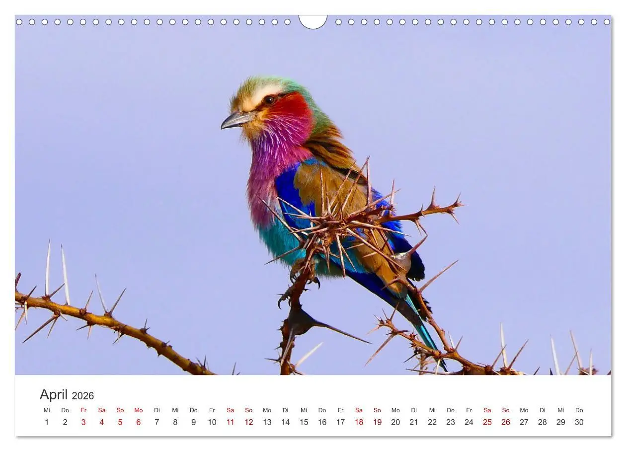 Bild: 9783457611807 | Tansania - Am Fuße des Kilimandscharo. (Wandkalender 2026 DIN A3...