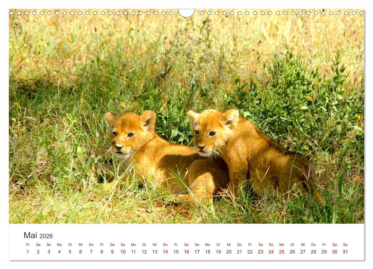 Bild: 9783457611807 | Tansania - Am Fuße des Kilimandscharo. (Wandkalender 2026 DIN A3...