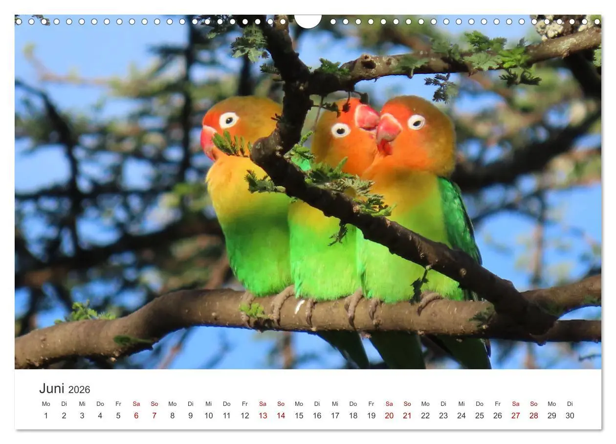 Bild: 9783457611807 | Tansania - Am Fuße des Kilimandscharo. (Wandkalender 2026 DIN A3...