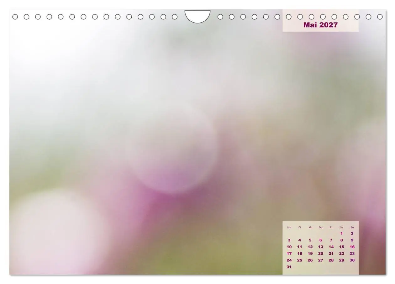 Bild: 9783569651807 | Meine Familie - mein Leben - die schönsten Momente - Bastelkalender...