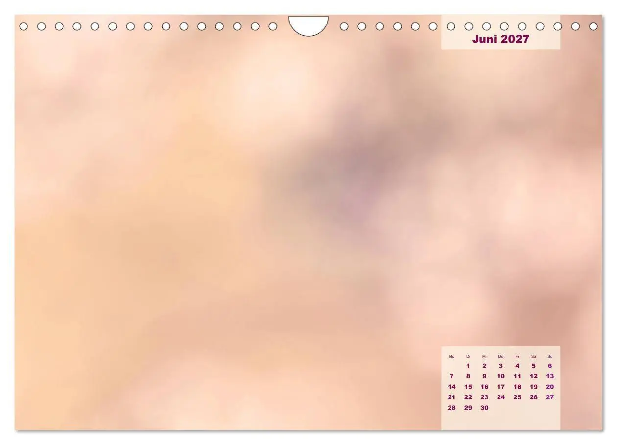 Bild: 9783569651807 | Meine Familie - mein Leben - die schönsten Momente - Bastelkalender...