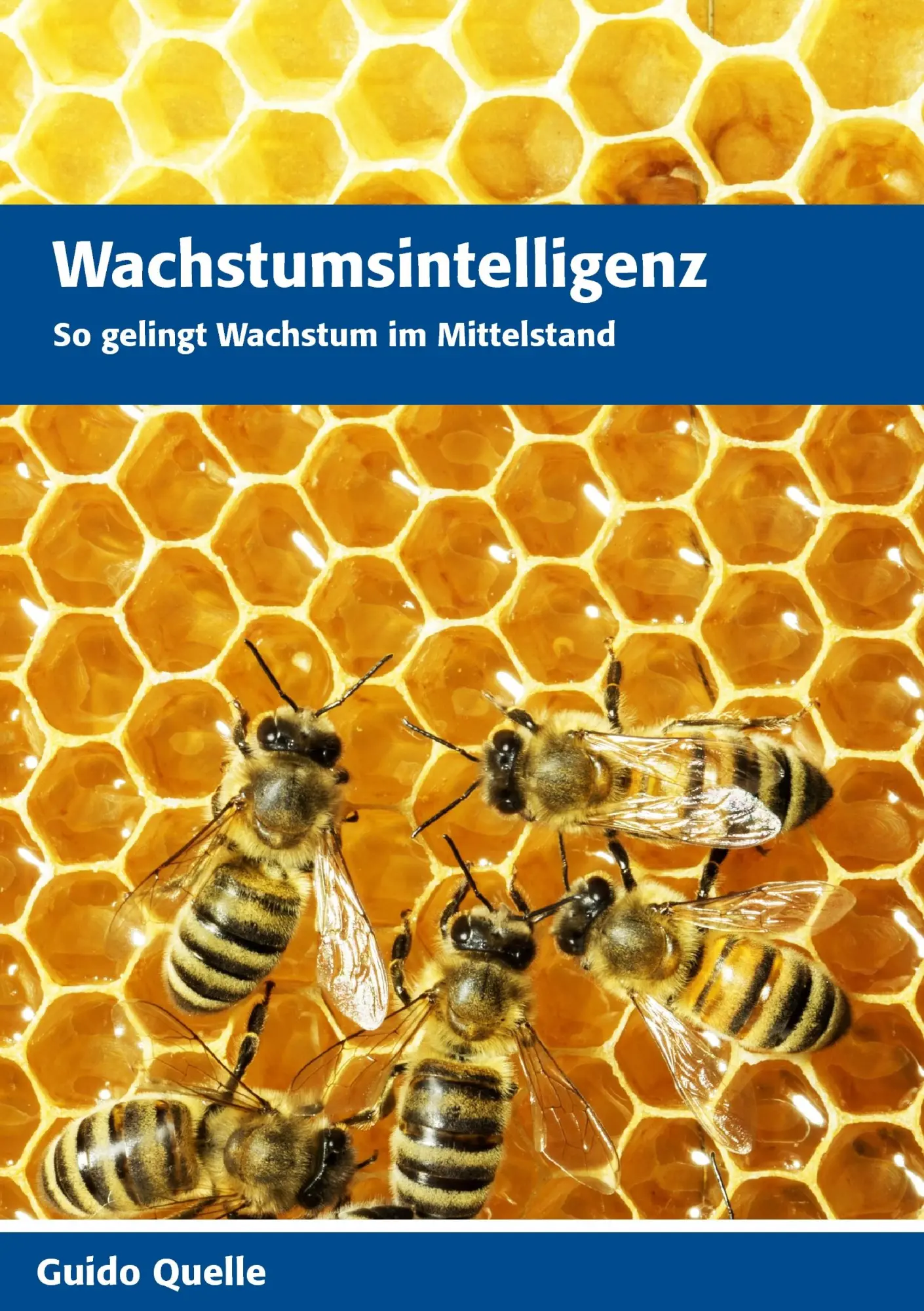 Cover: 9783738631807 | Wachstumsintelligenz | So gelingt Wachstum im Mittelstand | Quelle