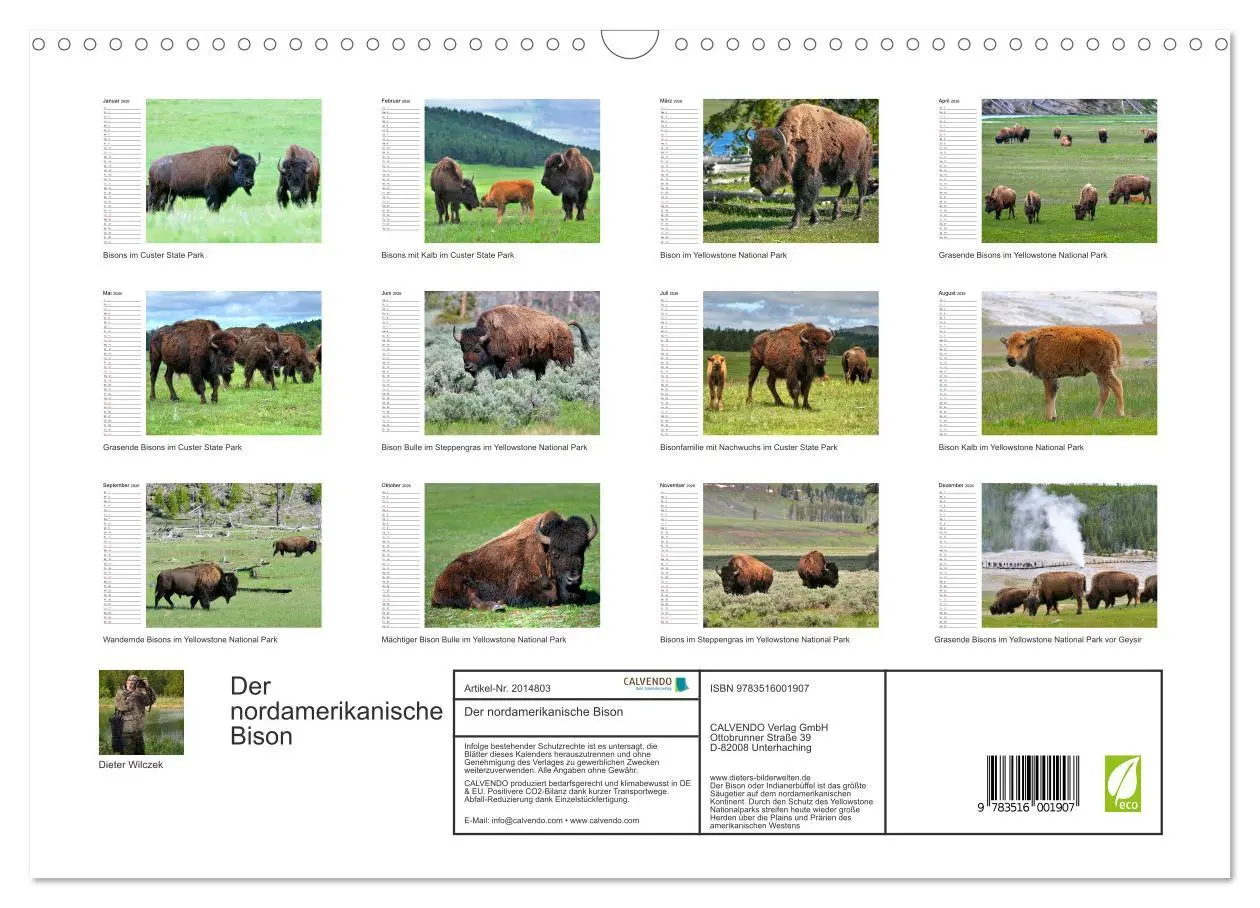 Bild: 9783516001907 | Der nordamerikanische Bison (Wandkalender 2026 DIN A3 quer),...