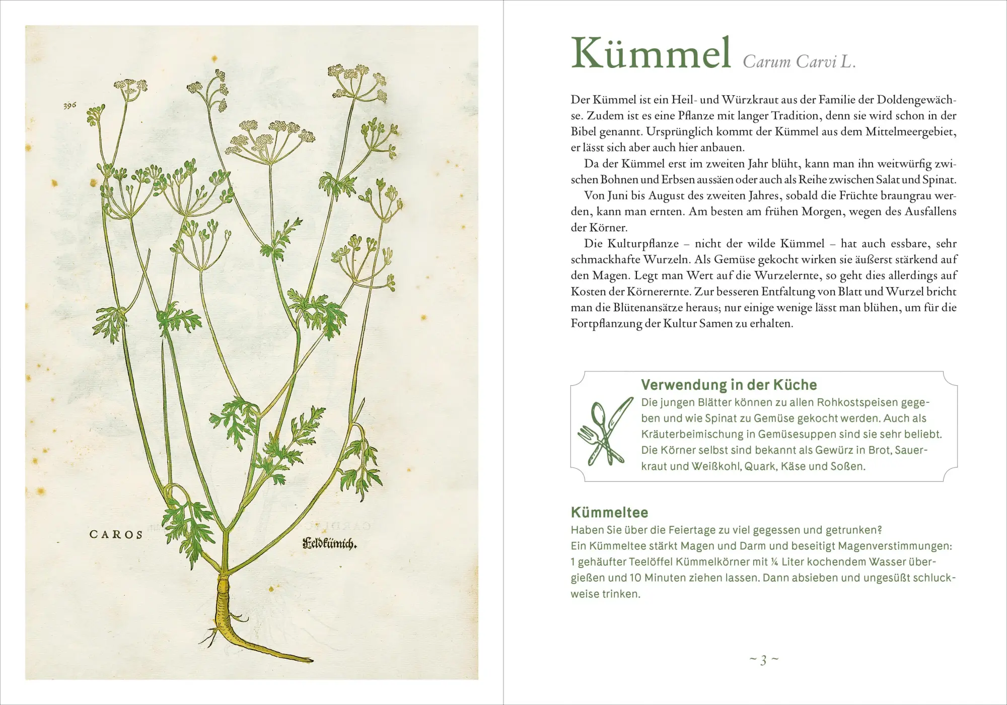 Bild: 9783961572007 | Mit 52 Klosterkräutern durch das Jahr | Christa Weinrich | Taschenbuch