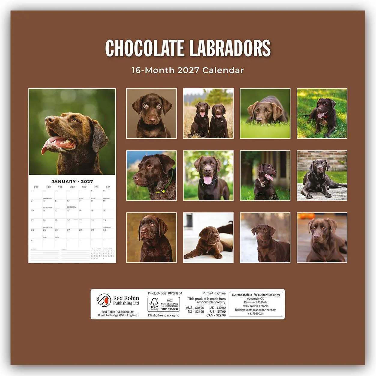 Rückseite: 9781837012107 | Chocolate Labrador Retrievers - Schokoladenbraune Labrador...