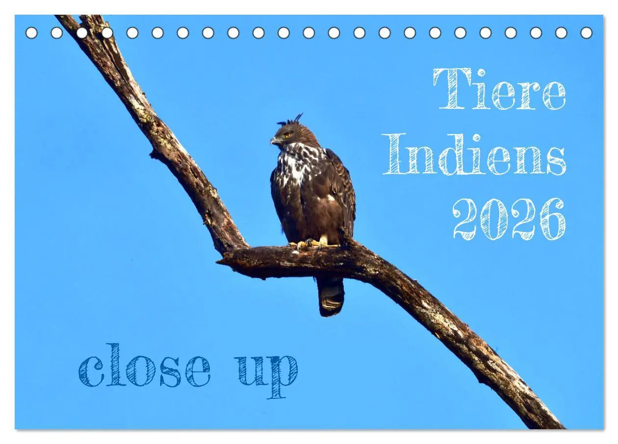 Cover: 9783457412107 | Tiere Indiens close up (Tischkalender 2026 DIN A5 quer), CALVENDO...