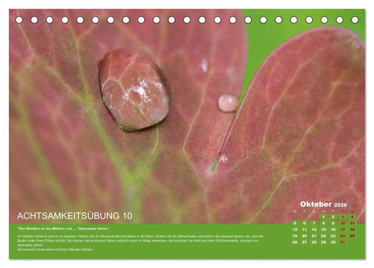 Bild: 9783457722107 | Achtsamkeit, 12 Übungen zu mehr Achtsamkeit. (Tischkalender 2026...