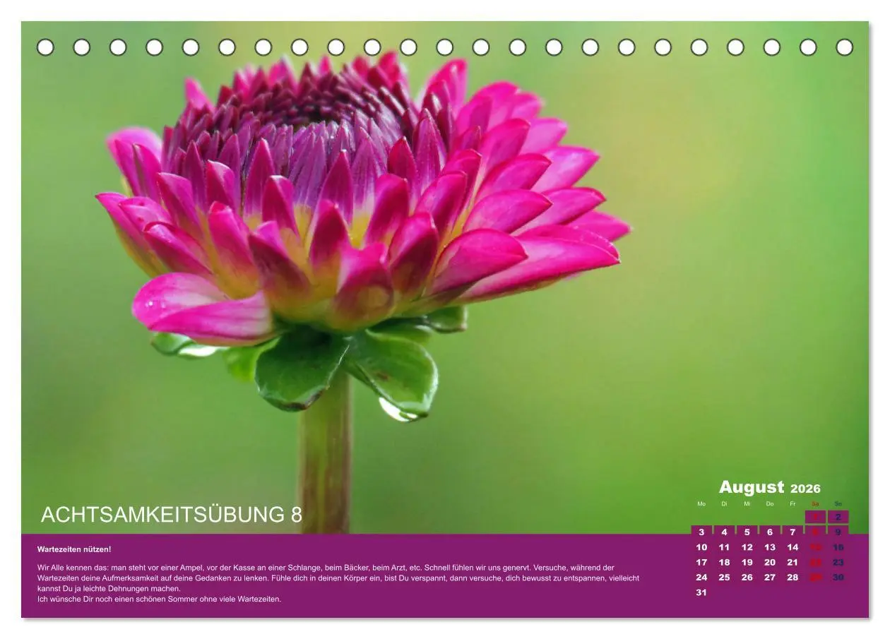 Bild: 9783457722107 | Achtsamkeit, 12 Übungen zu mehr Achtsamkeit. (Tischkalender 2026...