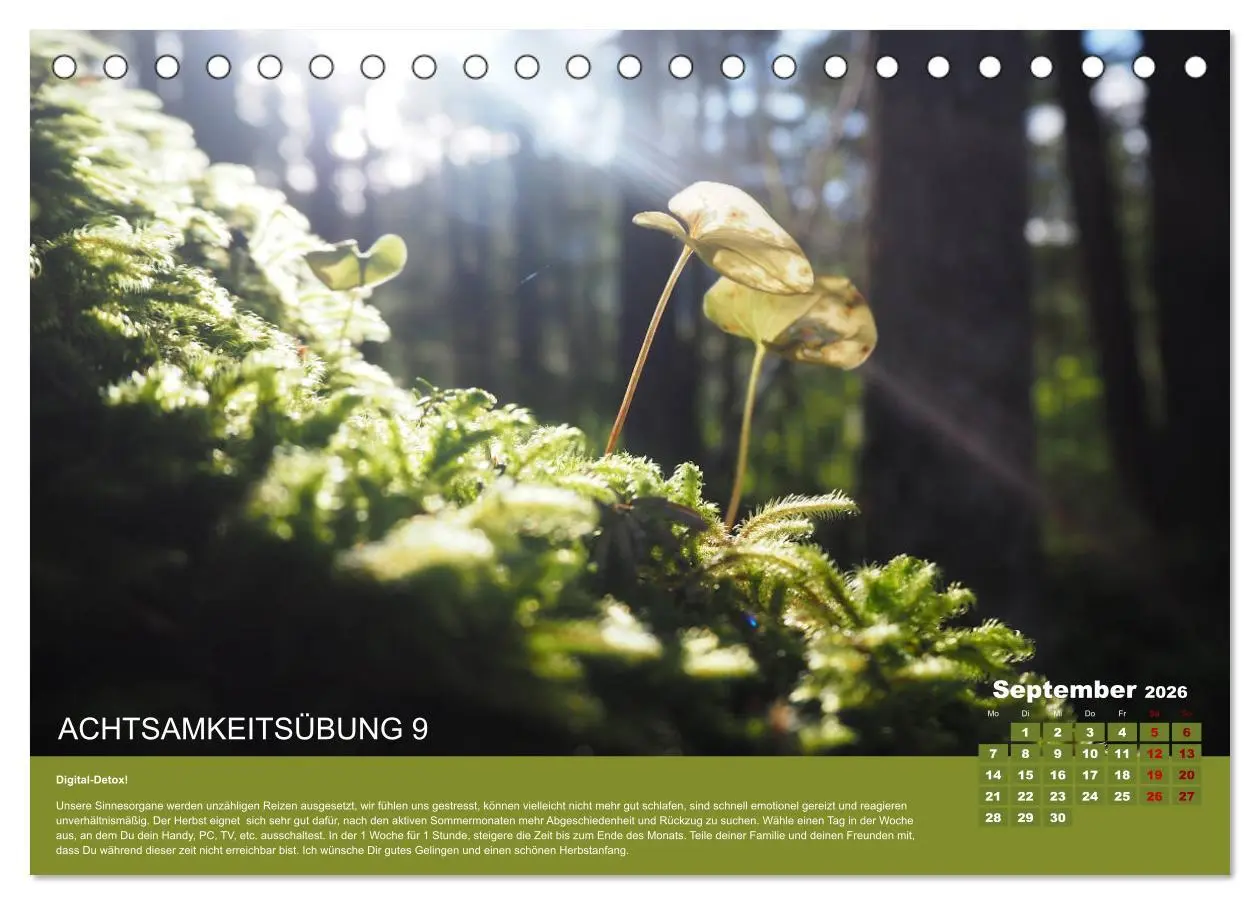 Bild: 9783457722107 | Achtsamkeit, 12 Übungen zu mehr Achtsamkeit. (Tischkalender 2026...