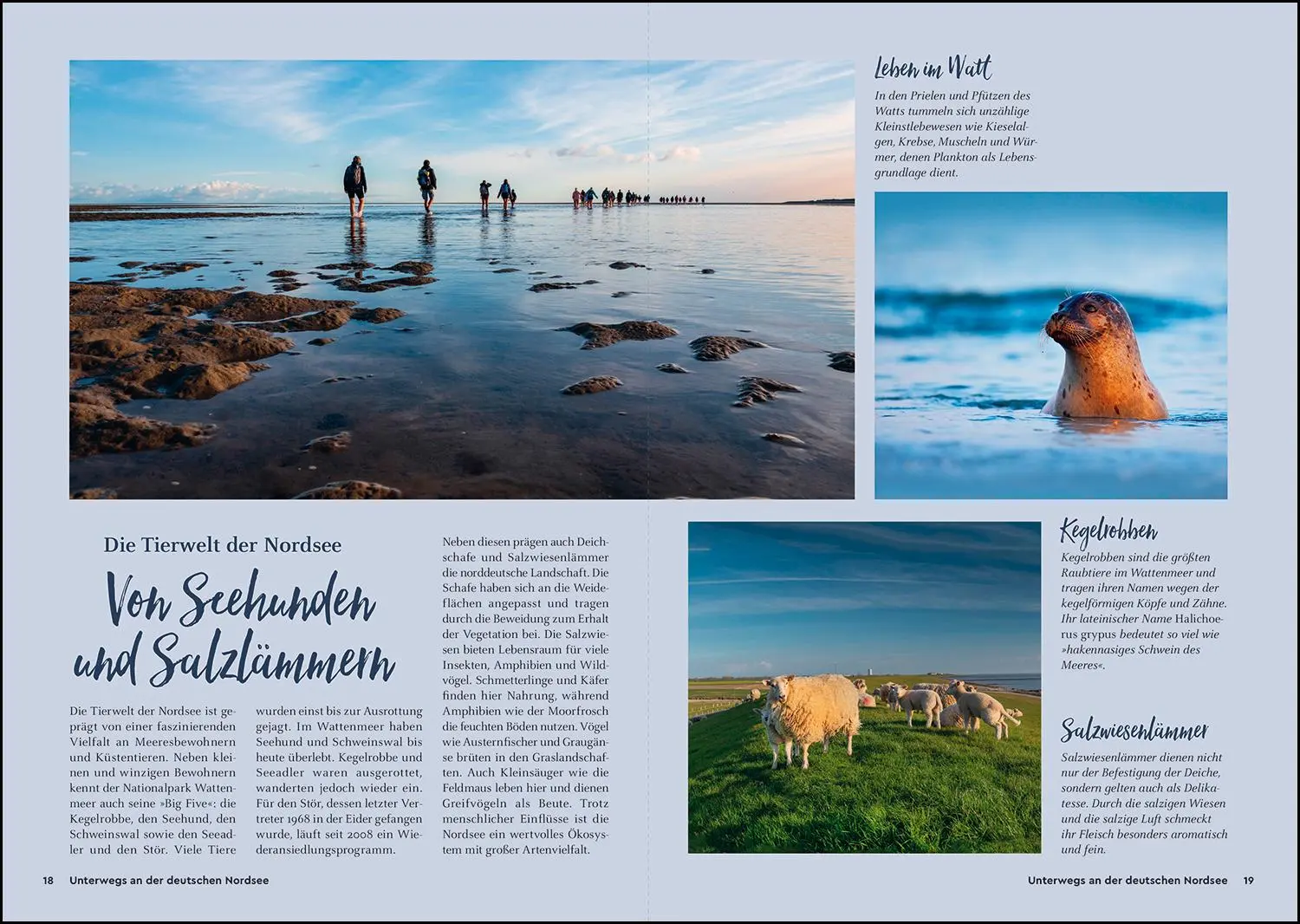 Bild: 9783969652107 | KUNTH Unterwegs an der deutschen Nordsee | Das Reisebuch | Verlag
