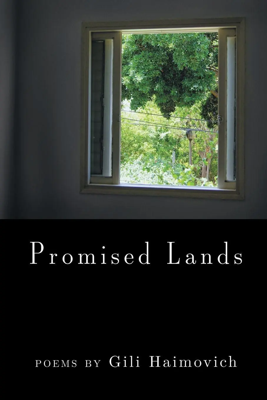 Cover: 9781646622207 | Promised Lands | Gili Haimovich | Taschenbuch | Englisch | 2020