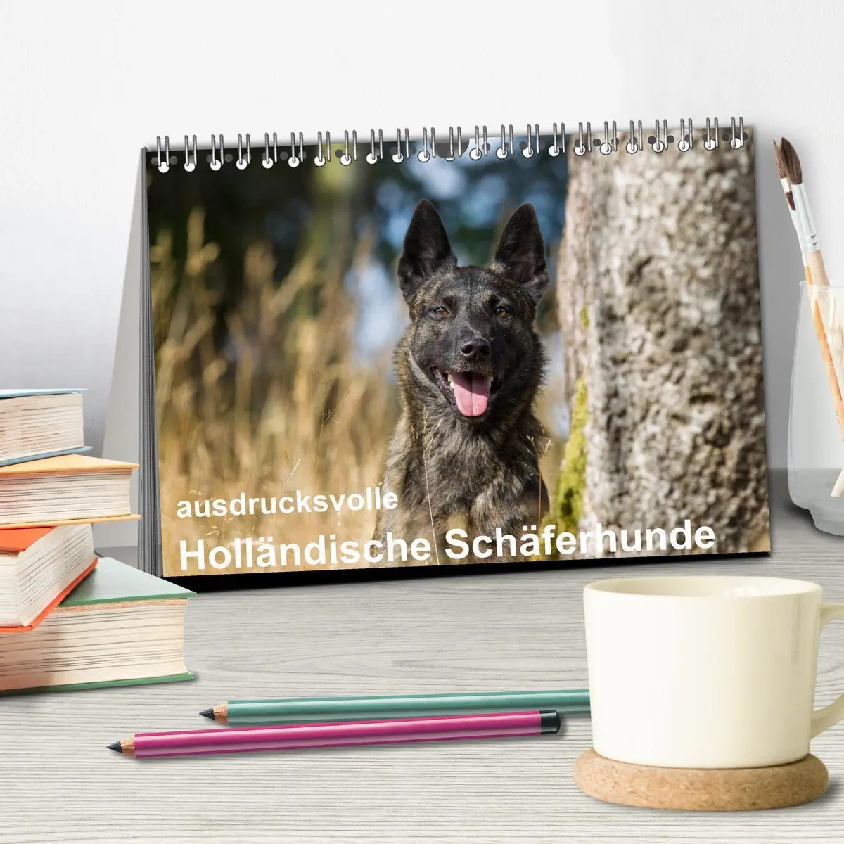 Bild: 9783516042207 | ausdrucksvolle Holländische Schäferhunde (Tischkalender 2026 DIN A5...