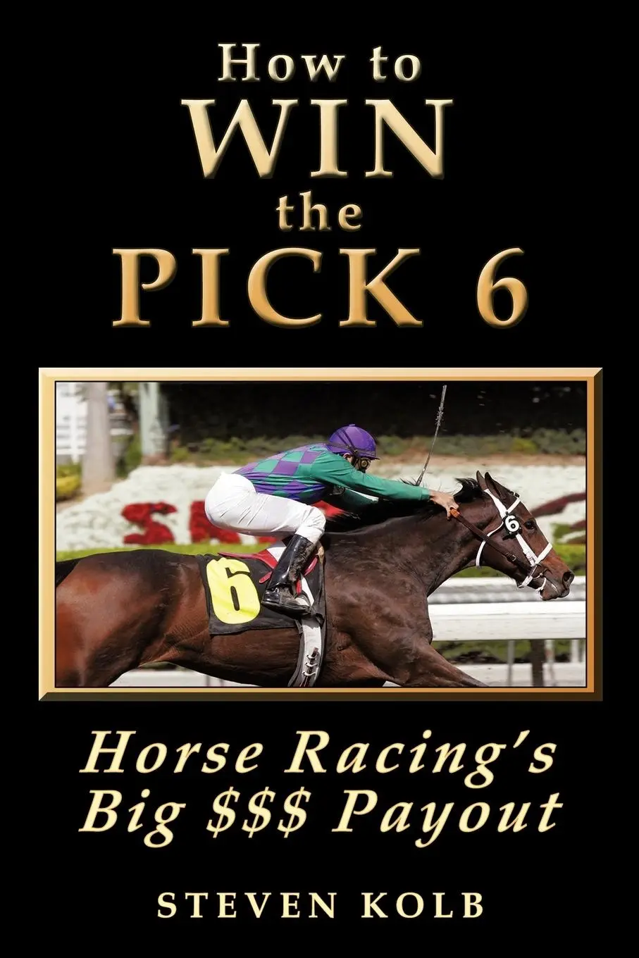 Cover: 9780974402307 | How to Win the Pick 6 | Horse Racing's Big $$$ Payday | Steven Kolb