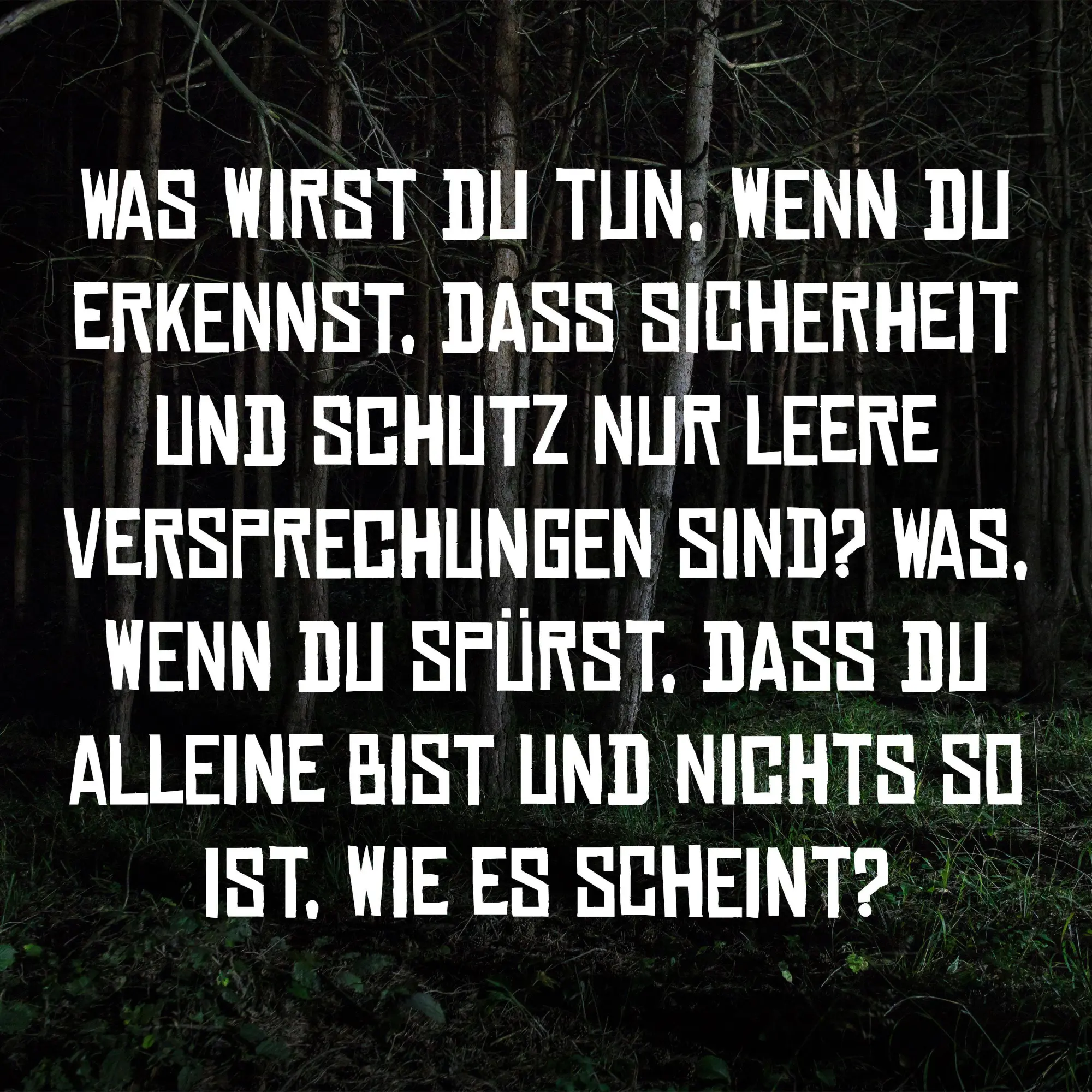 Bild: 9783986602307 | Lonely Survival | Michael Meiser | Taschenbuch | 400 S. | Deutsch