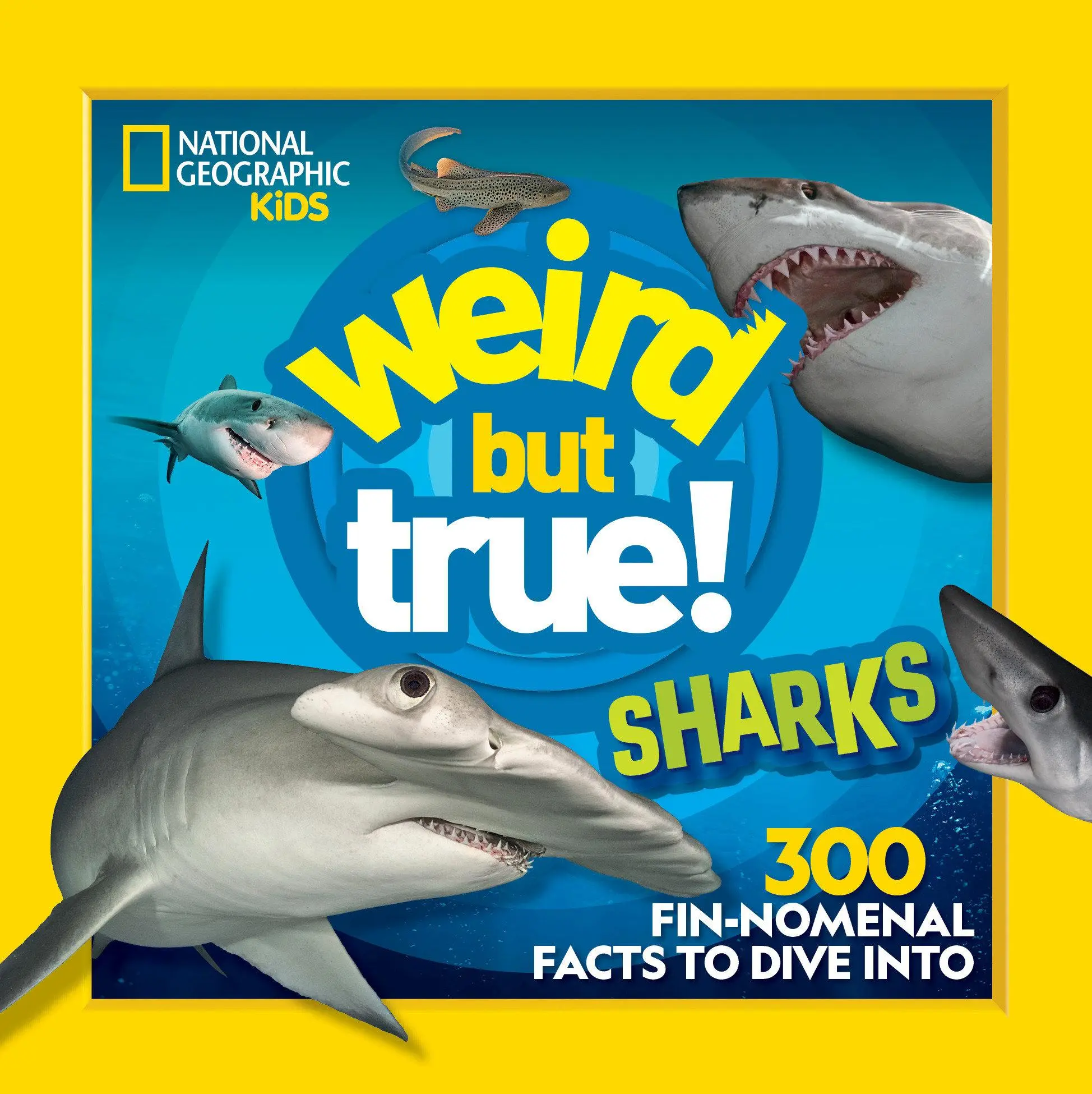 Cover: 9781426372407 | Weird But True! Sharks | National Geographic Kids | Taschenbuch | 2023
