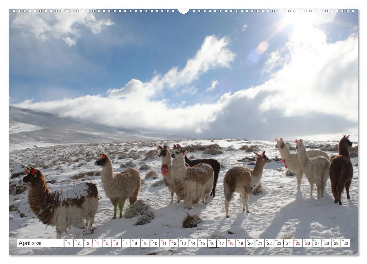 Bild: 9783457622407 | SÜDAMERIKA Eine Bilderreise durch Argentinien, Bolivien, Peru und...