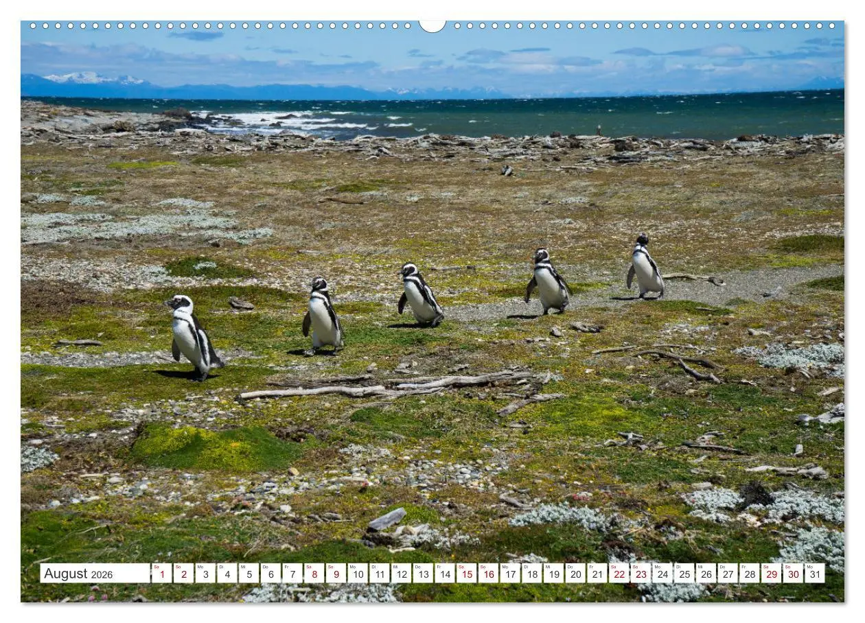 Bild: 9783457622407 | SÜDAMERIKA Eine Bilderreise durch Argentinien, Bolivien, Peru und...