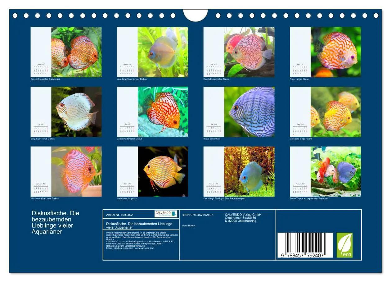 Bild: 9783457792407 | Diskusfische. Die bezaubernden Lieblinge vieler Aquarianer...