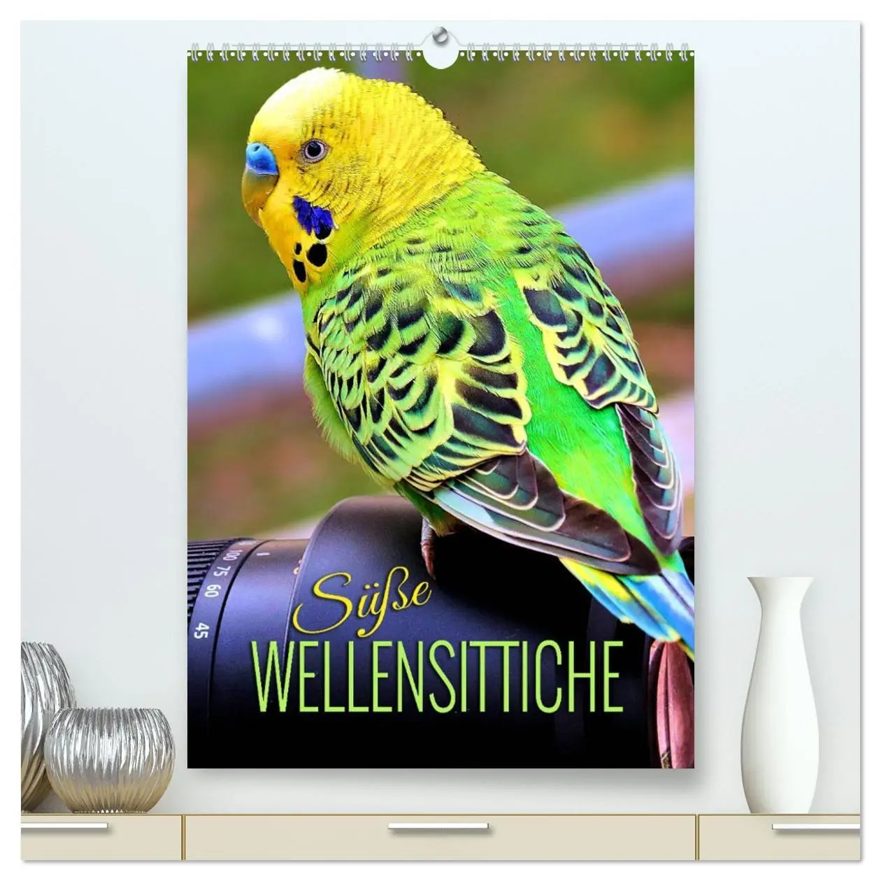 Cover: 9783516332407 | Süße Wellensittiche (hochwertiger Premium Wandkalender 2026 DIN A2...
