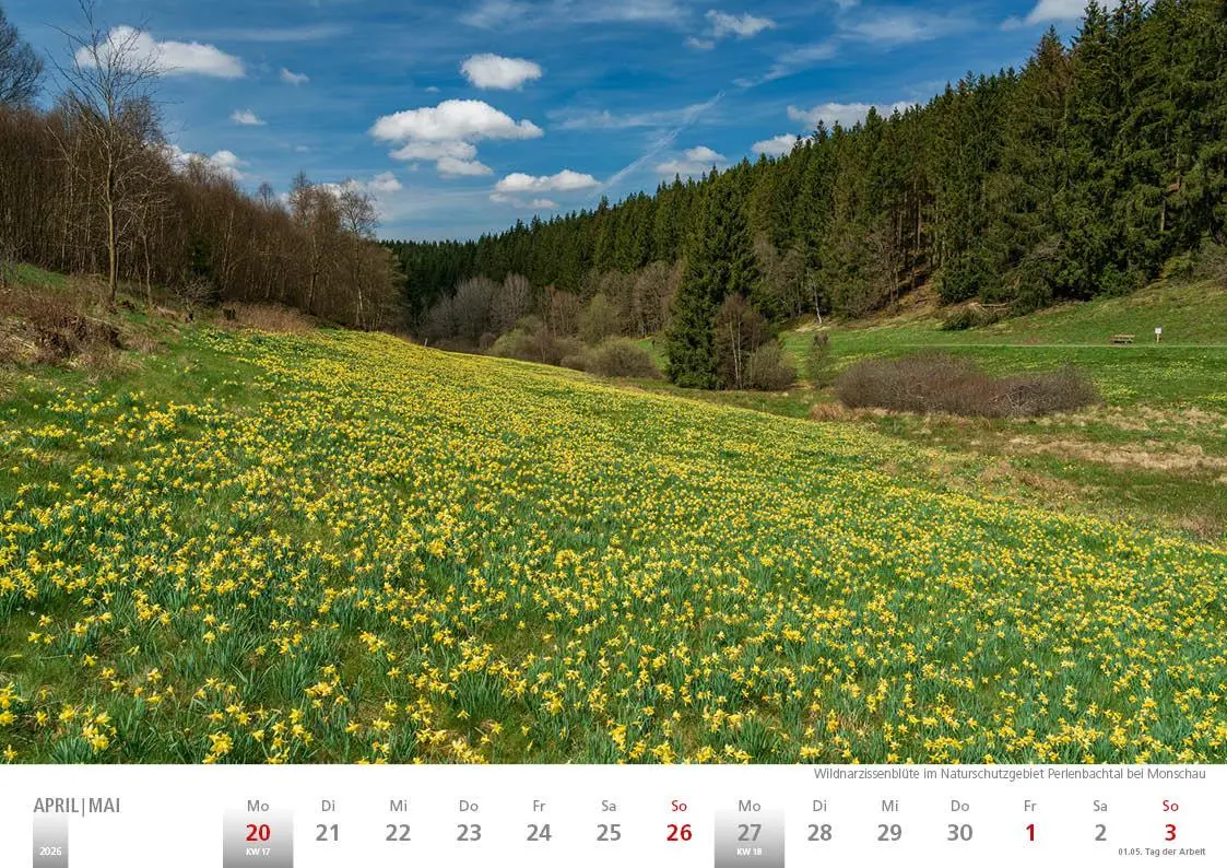 Bild: 9783965352407 | Rheinland 2026 Wandkalender A4 quer Spiralbindung 28 Blatt mit 56...