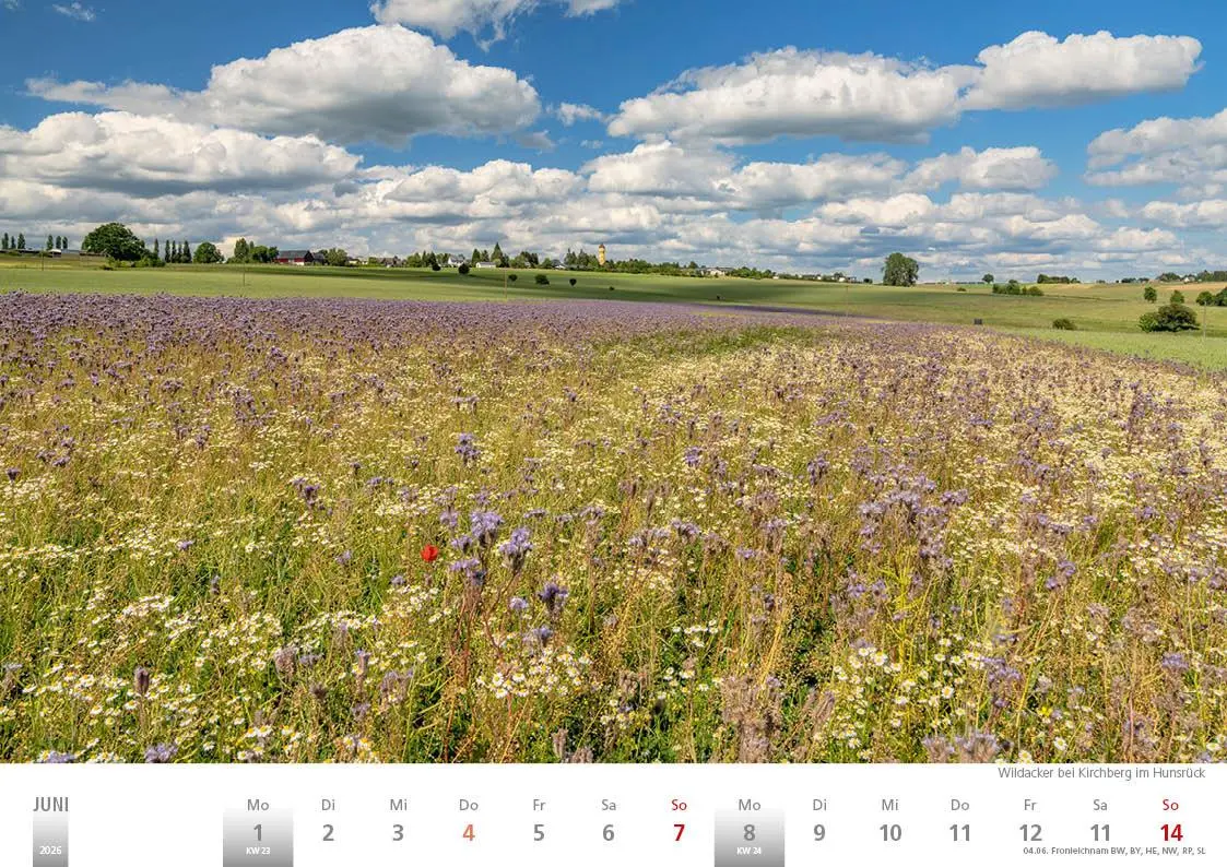Bild: 9783965352407 | Rheinland 2026 Wandkalender A4 quer Spiralbindung 28 Blatt mit 56...