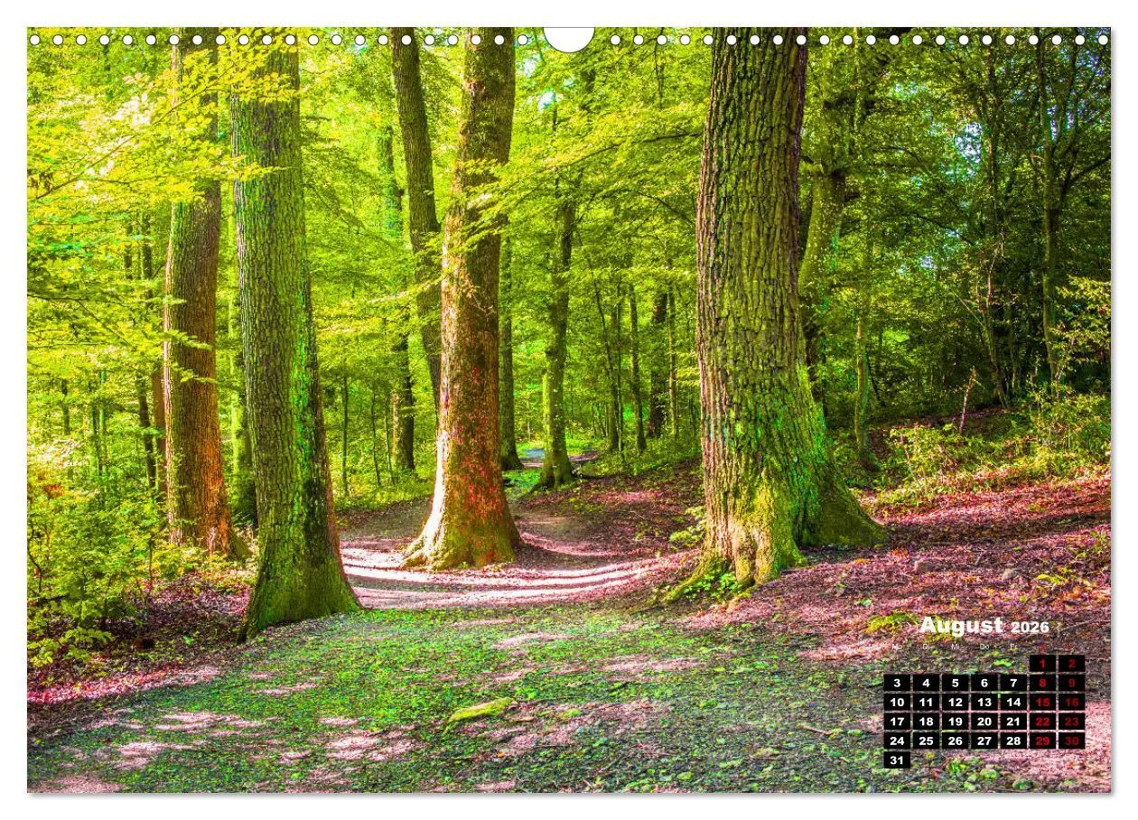 Bild: 9783457922507 | Rund um den Schönbuch (Wandkalender 2026 DIN A3 quer), CALVENDO...