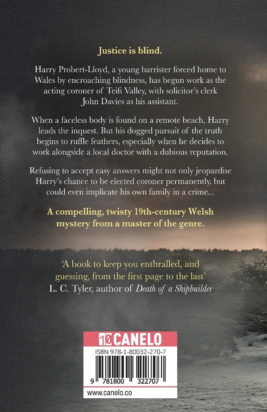 Rückseite: 9781800322707 | In Two Minds | Alis Hawkins | Taschenbuch | Englisch | 2021 | Canelo