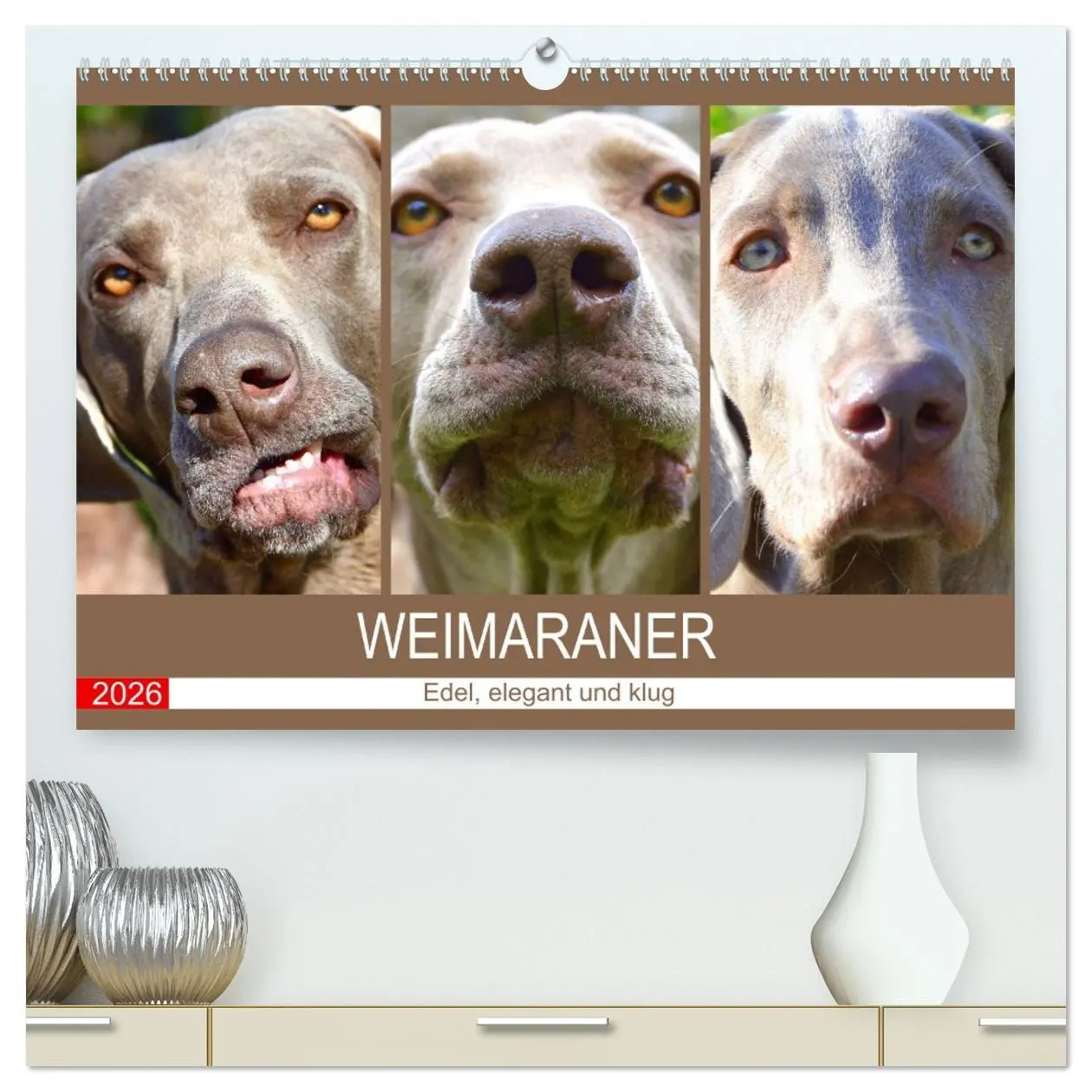 Cover: 9783457452707 | Weimaraner. Edel, elegant und klug (hochwertiger Premium...