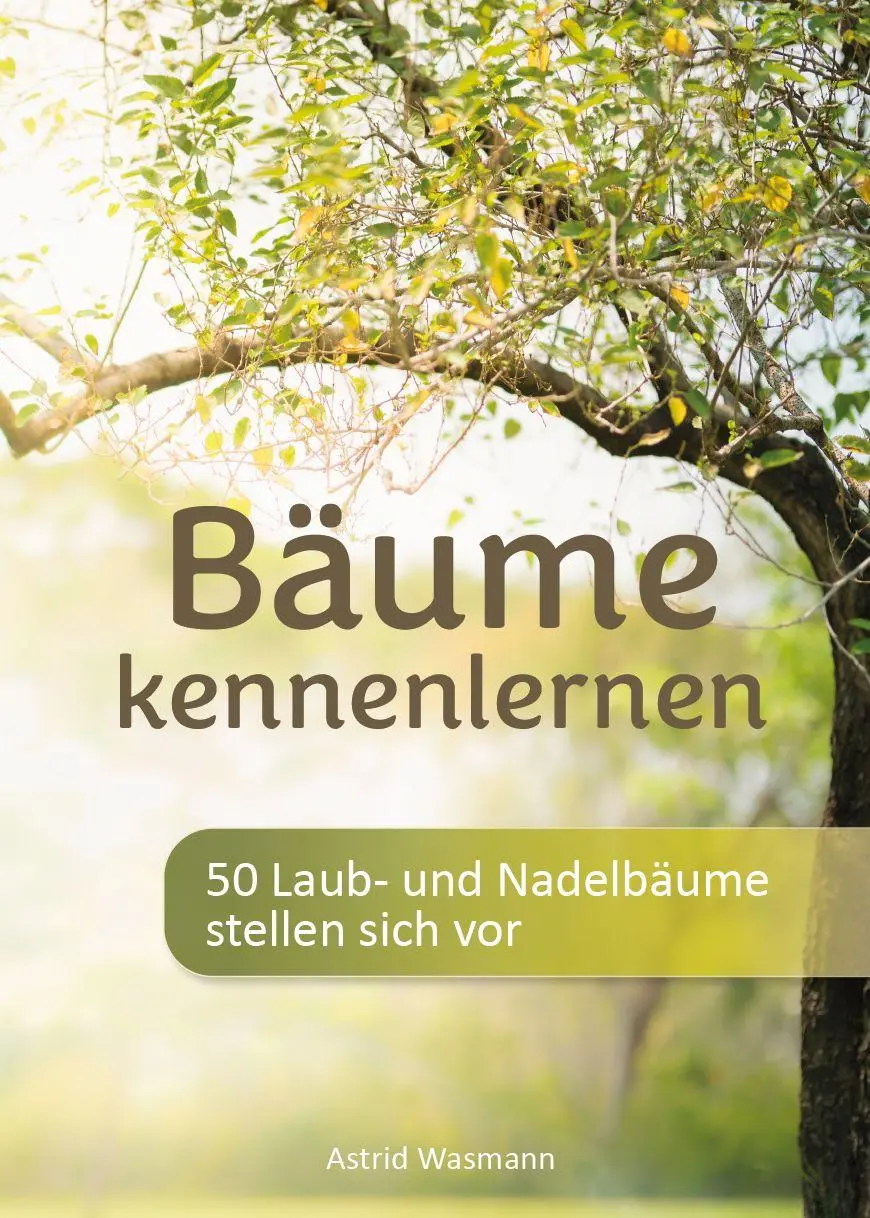 Cover: 9783758102707 | Bäume kennenlernen | 50 Laub- und Nadelbäume stellen sich vor | Buch
